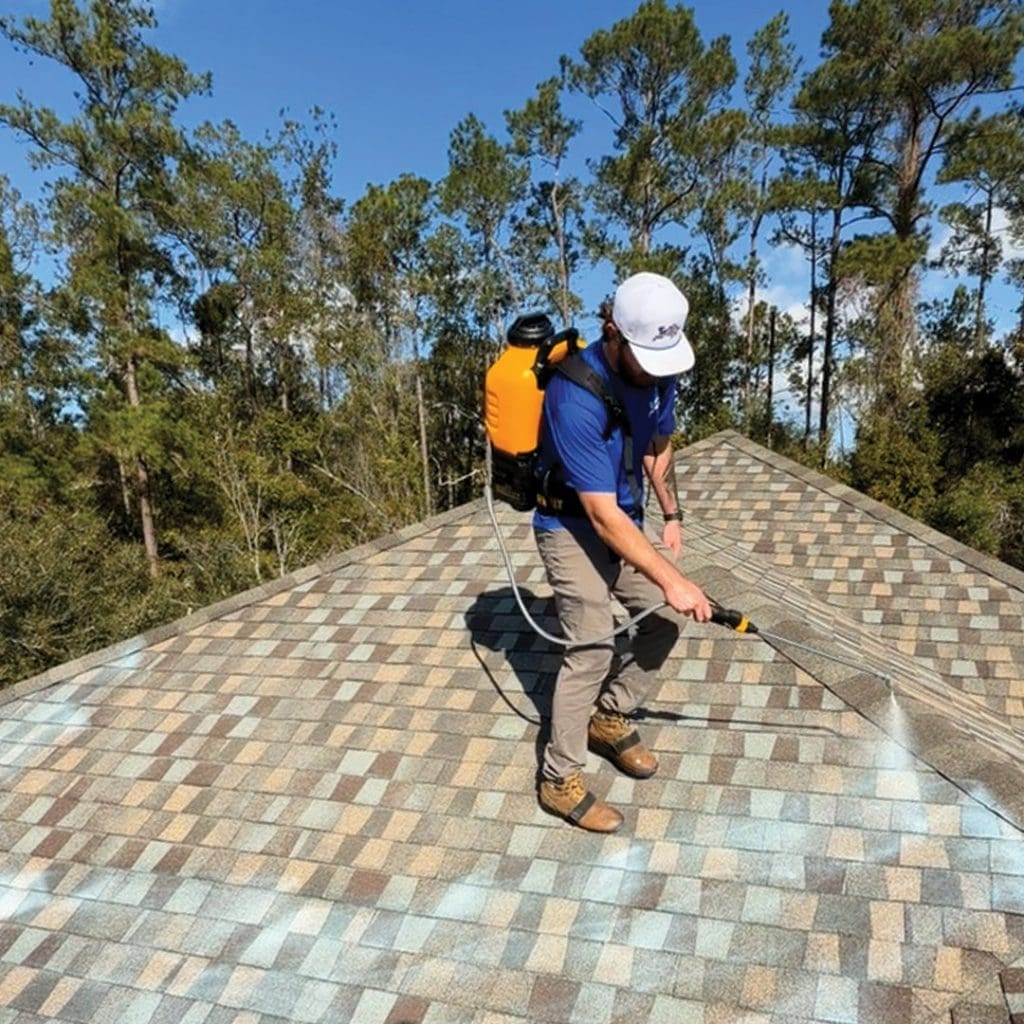 Technician applying Shingle RX roof rejuvenation treatment at ridge of Florida asphalt shingle roof with pine tree background